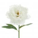 Kunstig blomst Peon 35cm hvit thumbnail