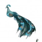 Påfugl på klype Lengde 30cm blue thumbnail
