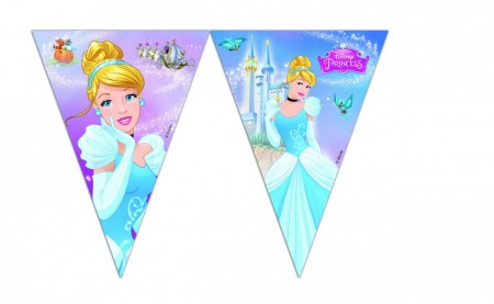 Cinderella Flagg Banner