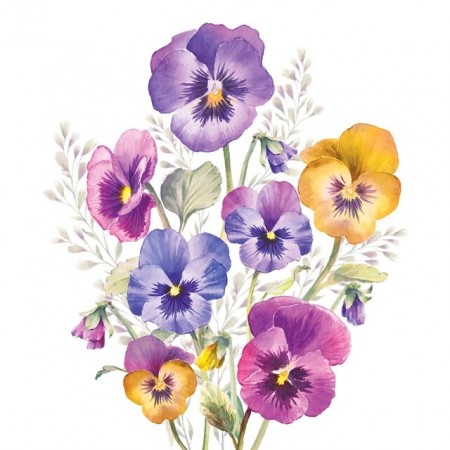 Servietter Kaffe Pansies 20stk